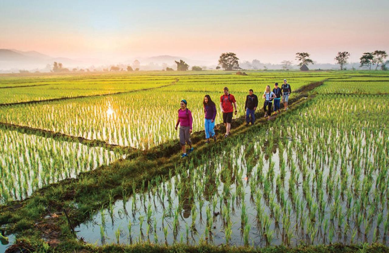 โกยา บูทิก รีสอร์ต Hotel อูบุด ภายนอก รูปภาพ Rice fields in Vietnam